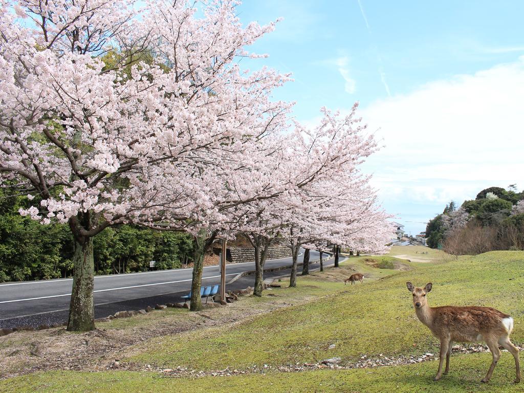 Miyajima Seaside Hotel Itsukushima Екстериор снимка