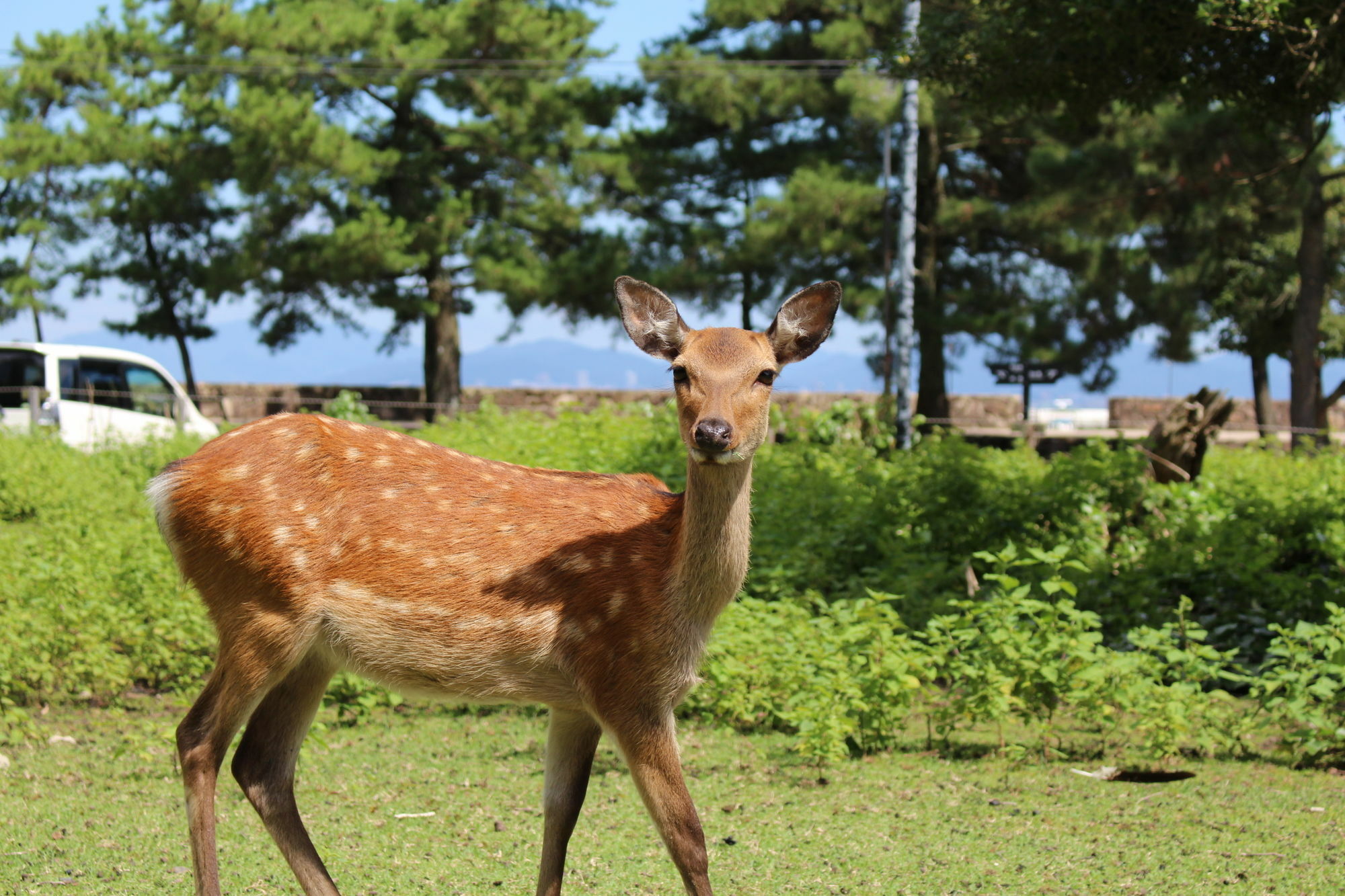 Miyajima Seaside Hotel Itsukushima Екстериор снимка